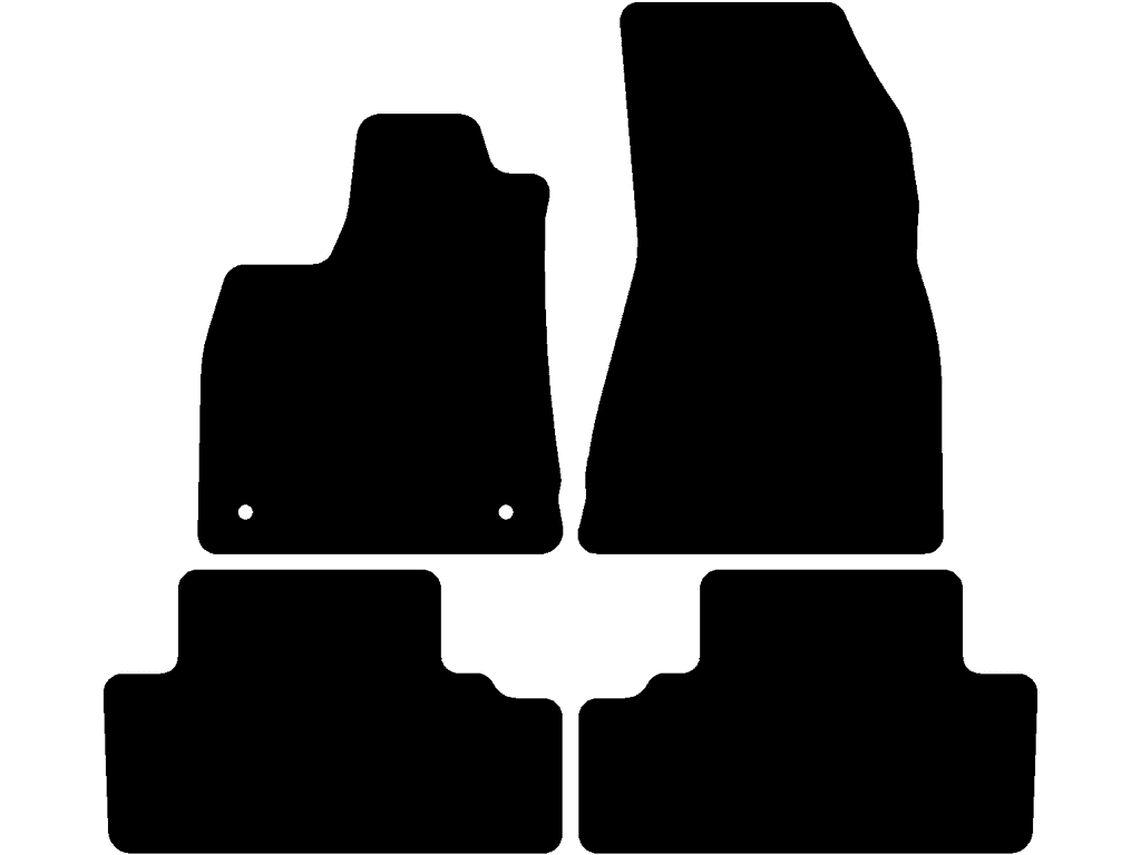 Bilmåtter til Renault 4 2025 - 2026