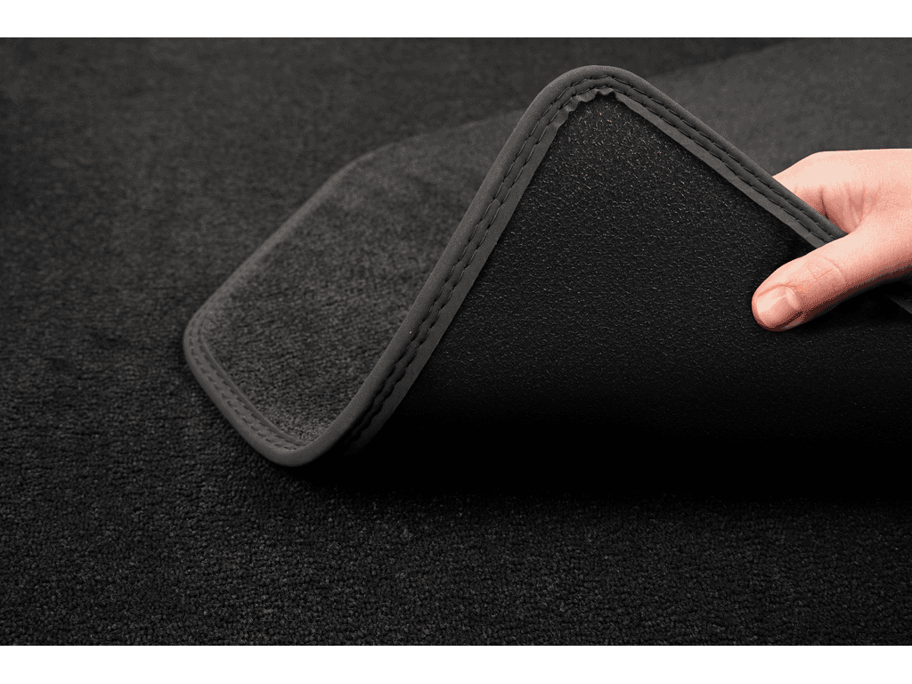 Carmat image 2