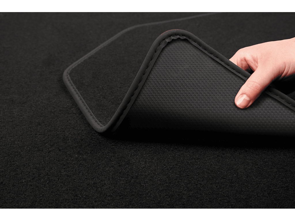 Carmat image 2