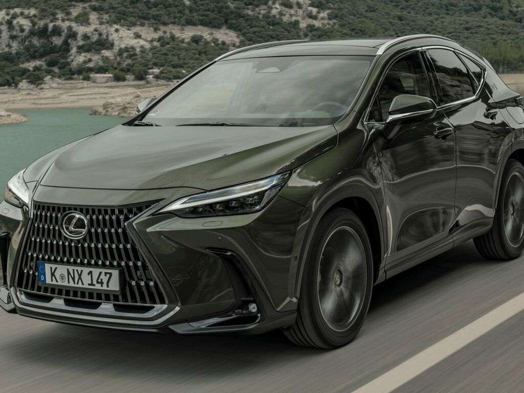 Bagagerumsmåtte til Lexus NX AZ20 2022 - 2025