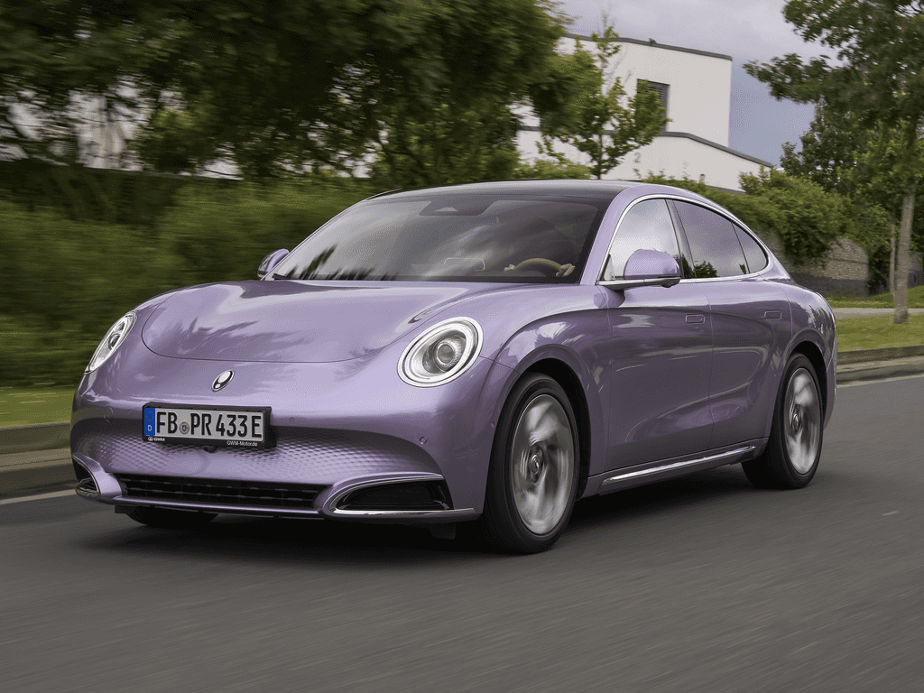 Bagagerumsmåtte til GWM Ora 07 2024 - 2025