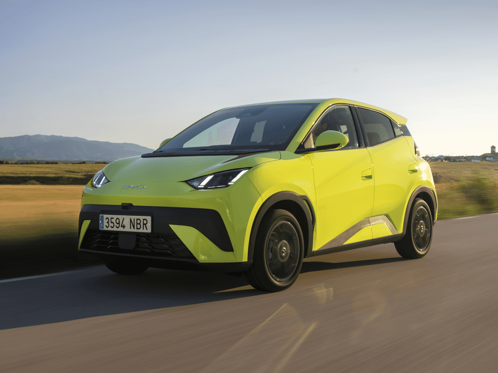 Bagagerumsmåtte til BYD Dolphin Surf 2025